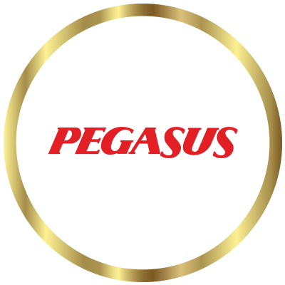 Youth Awards Winner - Pegasus Airlines