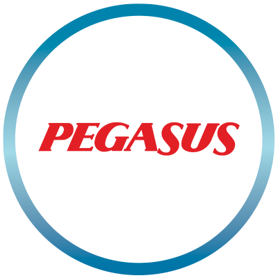 Youth Awards Winner - Pegasus